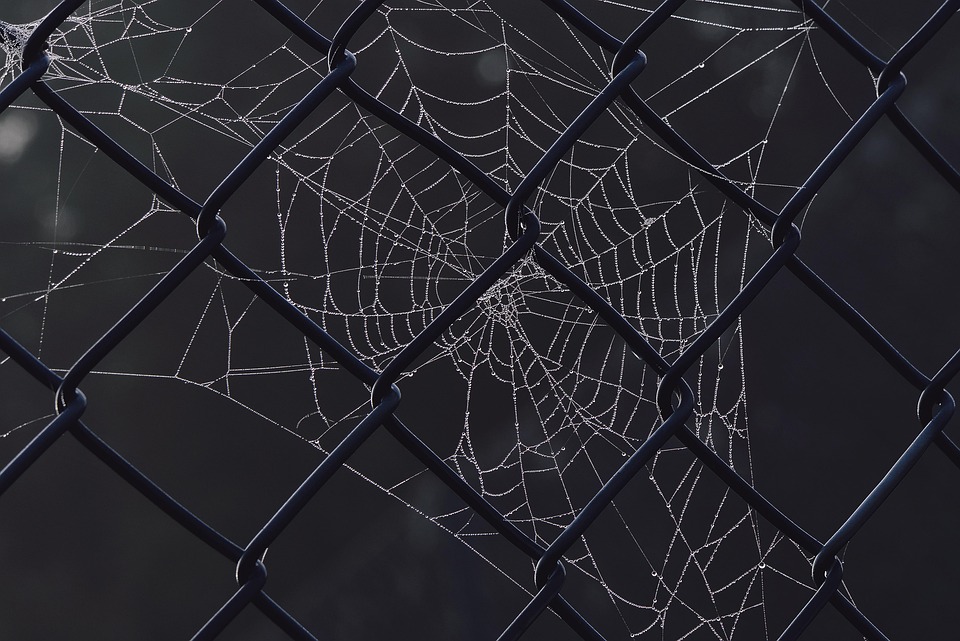 From HTTP to HTML: The Tech Behind Your Favorite Websites