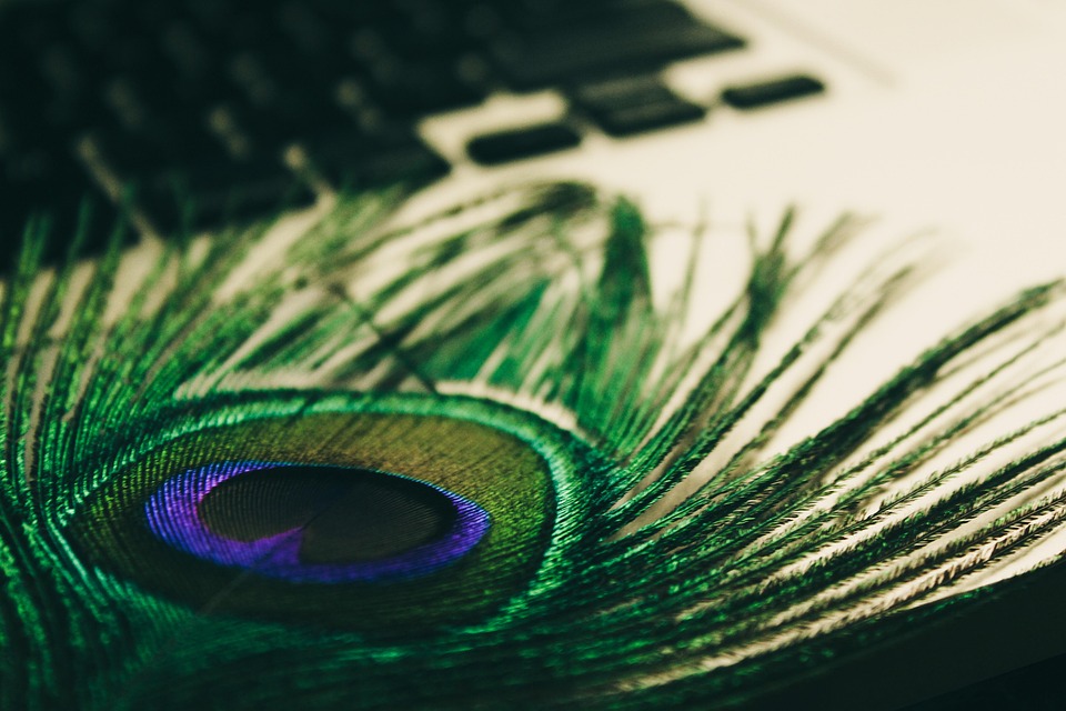 IPv4 to IPv6: Understanding the Upgrades and Innovations